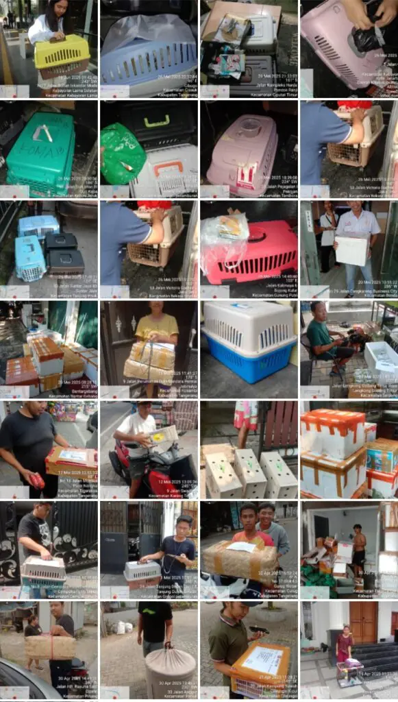 Paket Kilat Malang Jakarta